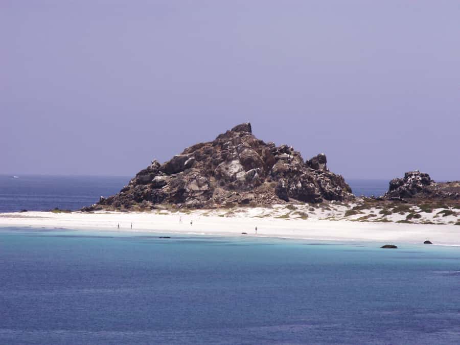 Whales & Humboldt Penguins: Chañaral or Damas island hiking - Punta Teatinos and the first coastal views