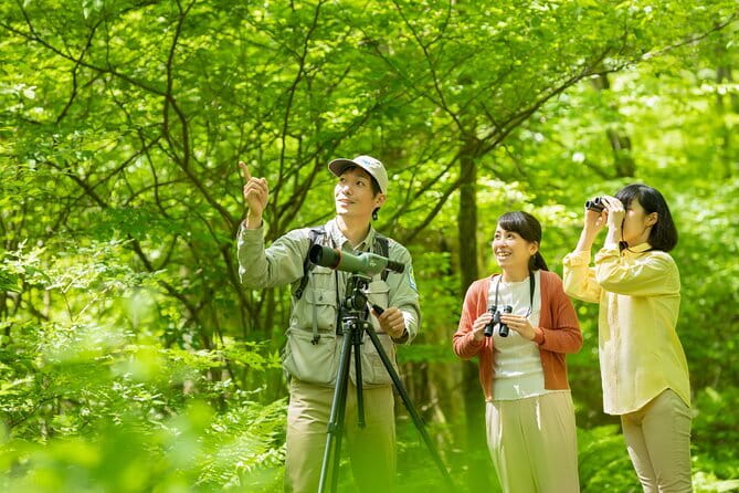 Wild Bird Sanctuary Forest Guided Tour in Nagano - Key points to know before you book