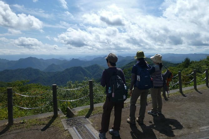Wild Bird Sanctuary Forest Guided Tour in Nagano - Who will enjoy this two-hour walk most