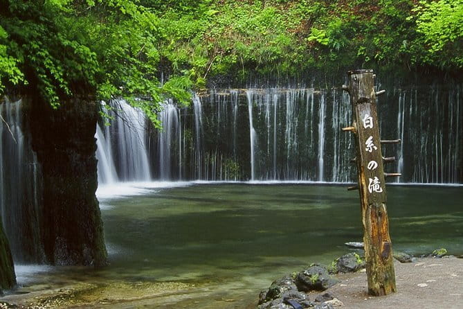 Wild Bird Sanctuary Forest Guided Tour in Nagano - Practical details that affect your decision
