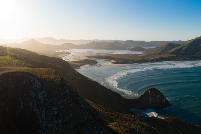 Wildlife and Penguin Tour - What else you might see