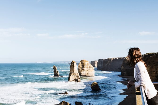 Wilson's Promontory & Phillip Island - 'Prom & Penguins' Tour - Lilly Pilly Gully for an easier rainforest walk