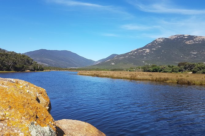 Wilson's Promontory & Phillip Island - 'Prom & Penguins' Tour - A picnic lunch made for a long day
