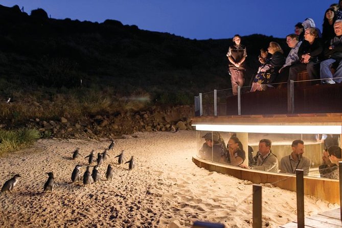 Wilson's Promontory & Phillip Island - 'Prom & Penguins' Tour - Moving from the Prom to Phillip Island