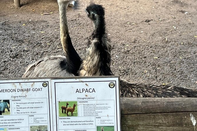 World of Birds, Kirstenbosch and Constantia Wine Private Day Tour - Key points to know before booking