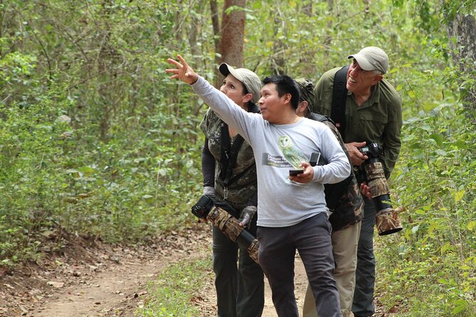 Xocen Birding - Coffee, Breakfast, and Overnight Options