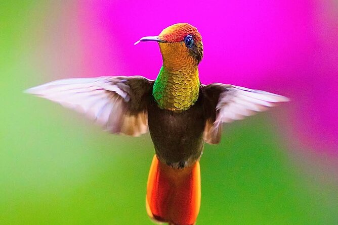 Yerette Home of the Hummingbird - How the three-hour schedule works