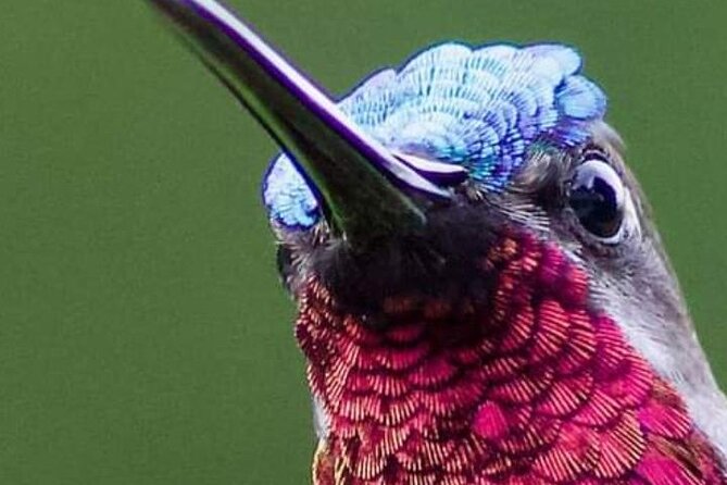 Yerette Home of the Hummingbird - Theo and Gloria’s personal presentation