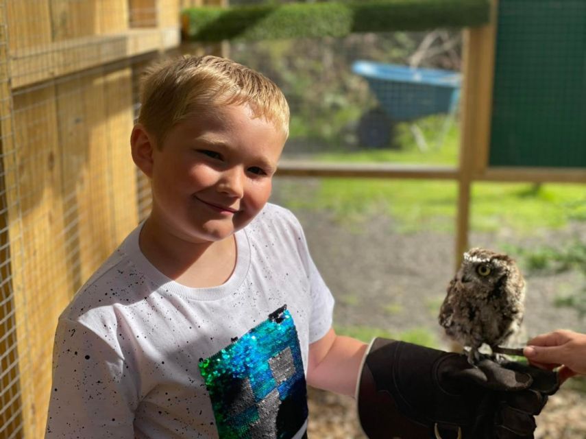 York: Entry to York bird of prey centre - Key points at a glance