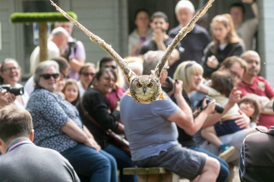 York: Entry to York bird of prey centre - What Is Not Included